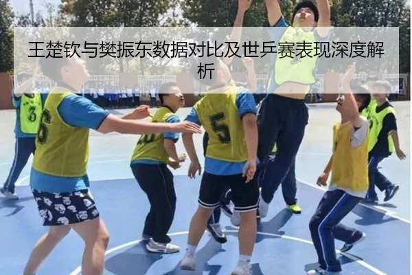 王楚钦与樊振东数据对比及世乒赛表现深度解析